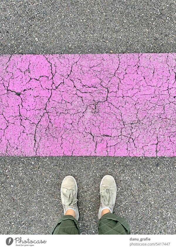 Pinker Strassenstreifen Straßenmarkierung Fahrbahnmarkierung Markierung pinker streifen grau Asphalt Orientierung Wege & Pfade Linie Abgrenzung farbenfroh