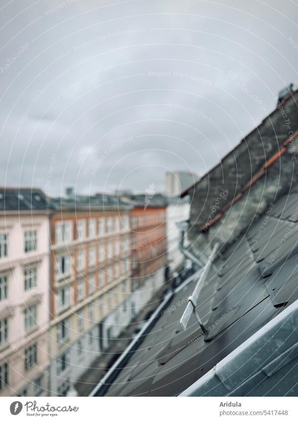 Blick aus einem Dachfenster Stadt Dachpfannen Häuser Häuserwand Strassenzug Zentrum Fenster grau trüb Kopenhagen Architektur Dachziegel alt Gebäude Altbau