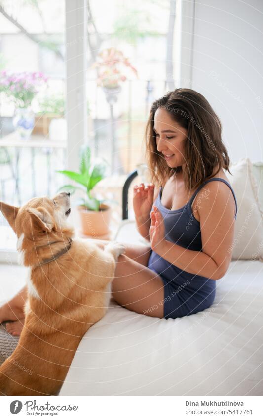 Millennial kaukasische Frau zu Hause mit Corgi Hund. Hundetrainer. Lustige gemütliches Bild der Frau mit Welpe in der Wohnung. Brunette lächelnd mit welsh Corgi Pembroke Hund sitzt auf Couch.