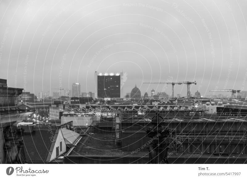 Blick vom Reichstag Berlin s/w Winter Skyline trüb Regen Abend Schwarzweißfoto Außenaufnahme Tag Stadt Menschenleer Hauptstadt Stadtzentrum Architektur bnw