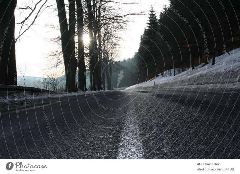 Way of Life Baum Thüringen Wald Straße Sonne Schilder & Markierungen Schnee brotterode Schatten aspalt