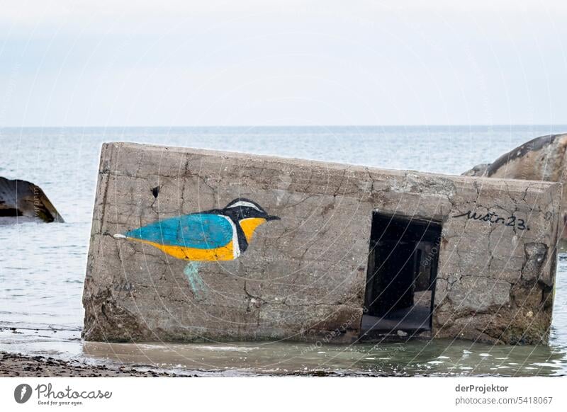 Ehemalige Bunkeranlage mit Vogel am Strand Sand Farbfoto Erholung Strandleben Ferien & Urlaub & Reisen baden Erholungsgebiet Urlaubsstimmung Meer