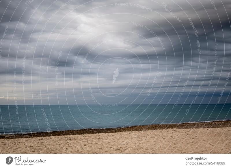 Leerer Strand in Dänemark bei mäßigem Wetter Strukturen & Formen Naturschutzgebiet Gedeckte Farben Textfreiraum links Textfreiraum rechts Textfreiraum oben