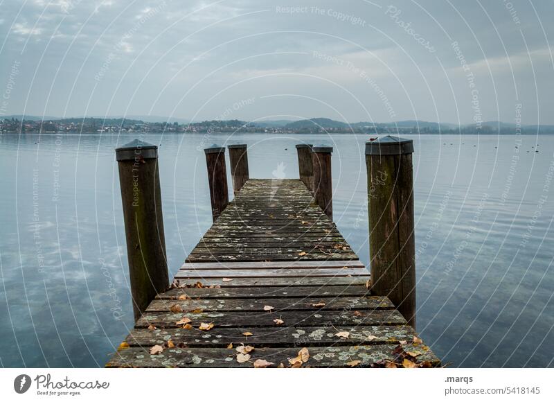 am Bodensee Abend ruhig Stimmung schön Steg See Horizont Himmel Abenteuer Ausflug blau Wasser Natur Dämmerung Erholung Symmetrie Idylle Fernweh kalt Holz