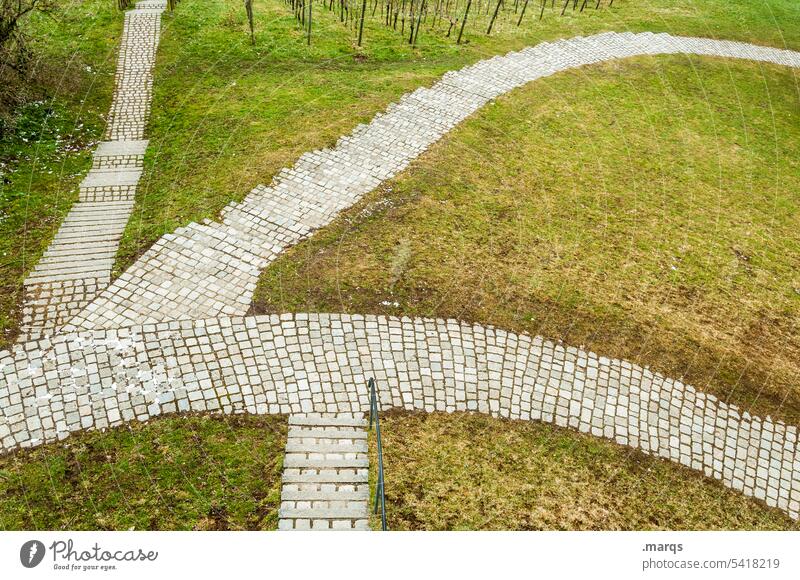 4 Wege Wege & Pfade Wiese Natur Ziel grün Gras Gabelung Entscheidung lebensweg Vogelperspektive Orientierung Symbole & Metaphern Pfeil