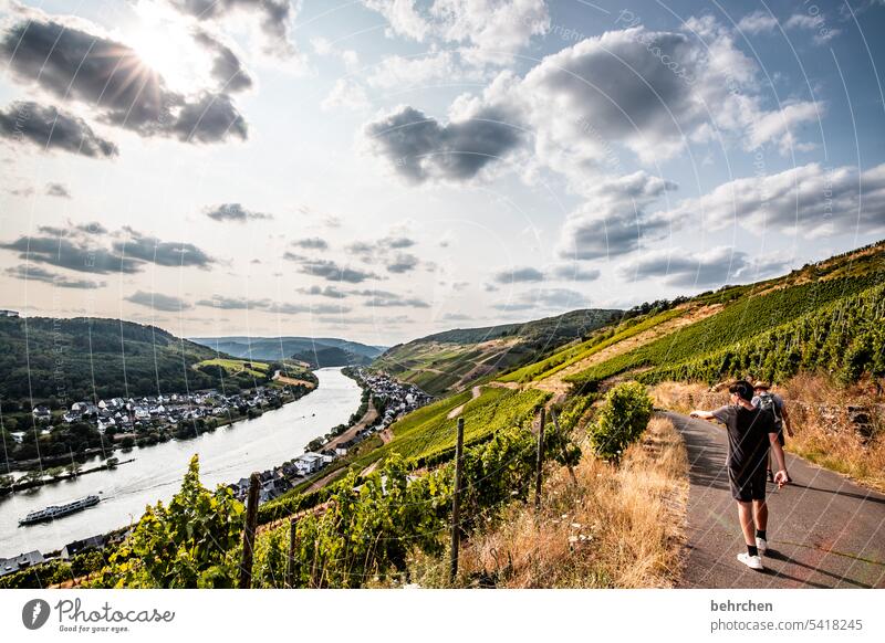 trinkt mehr wein Gräser Gras Wald Ferien & Urlaub & Reisen Natur Sommer Wolken Himmel Landschaft Farbfoto Berge u. Gebirge Abenteuer Wein Weinberg Weintrauben