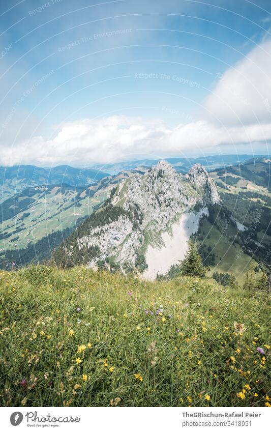 Aussicht auf Berg mit Gras und Wolken Farbfoto grosser mythen Berge u. Gebirge wandern Schweiz Tourismus Alpen Landschaft Außenaufnahme grün laufen Natur Umwelt