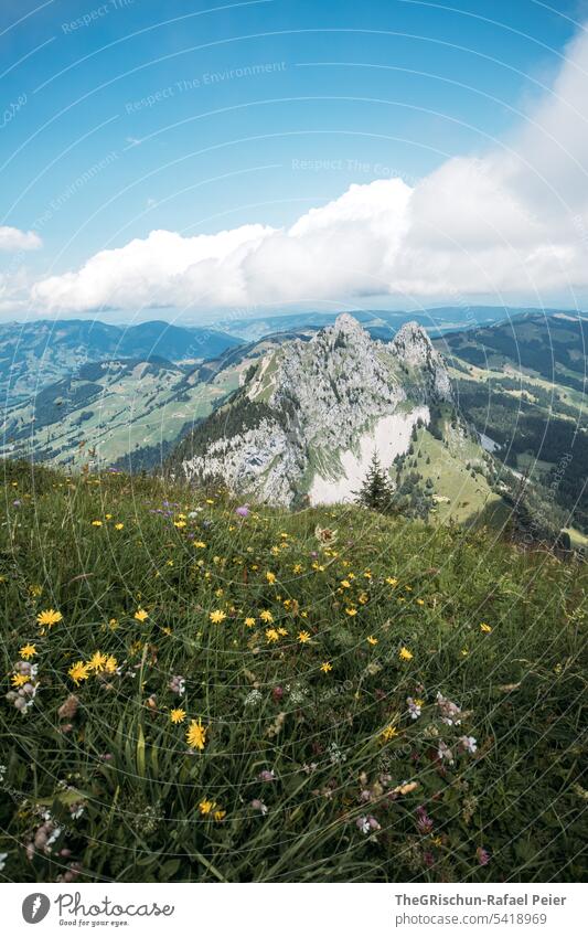 Aussicht auf Berg mit Gras und Wolken Farbfoto grosser mythen Berge u. Gebirge wandern Schweiz Tourismus Alpen Landschaft Außenaufnahme grün laufen Natur Umwelt