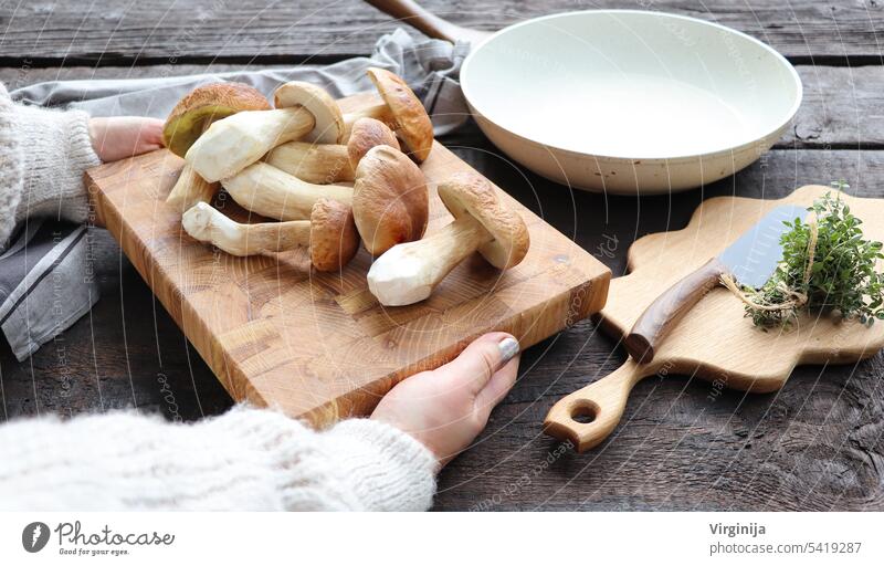 Frau hält frische Waldpilze auf dunklem Hintergrund, Herbst-Steinpilze. Pilze pflücken und kochen Familie Hand Baum Lebensmittel Person Natur Küche natürlich