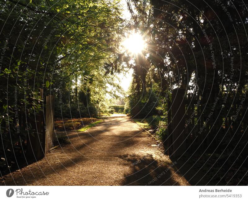 Willkommen, Pforte auf und hereinspaziert! Park Garten Sonne Gegenlicht Sonnenaufgang Tor geöffnet offen Wärme Einlass Empfang Botanischer Garten morgens Weg