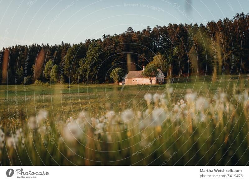 Landschaftsaufnahme mit kleinem Bauernhof und Löwenzahnwiese kleines Bauernhaus Waldviertel rosa Bauernhof Pusteblume Idylle Landleben Österreich Heimat