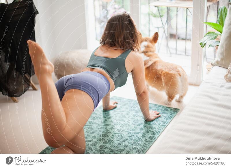 Junge Frau mit Corgi Pembroke Hund macht Yoga auf grüner Matte zu Hause. Praktiziert Sport, Wellness und Gesundheit. Indoor Yoga Online-Kurs. Achtsamkeit und Meditation, aktiver Lebensstil.