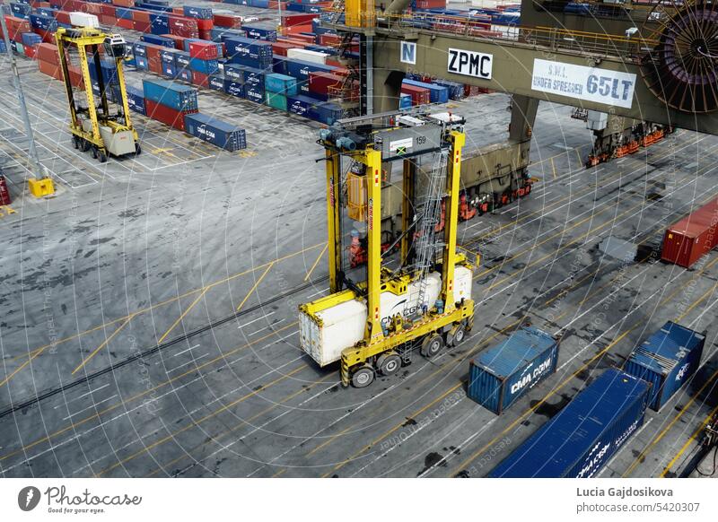 Ein mit weißen Kühlcontainern beladener gelber Van-Carrier fährt im Kingston Freeport Terminal unter dem Portalkran hindurch. Es gibt viele andere Boxen von Verladern.