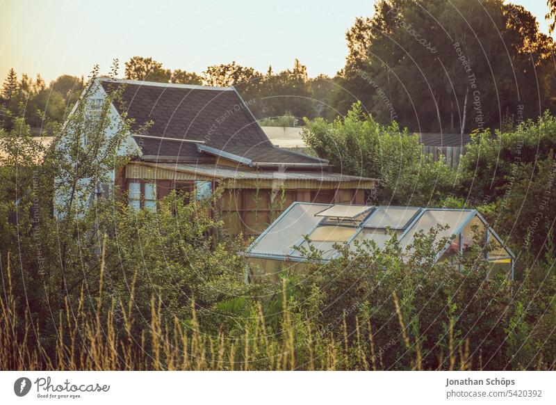 Gartenhaus und Gewächshaus im Sonnenuntergang Haus Häuschen Hütte Schuppen Laube Glashaus Kleingarten Natur grün Ruhe Idylle Schrebergarten erholung