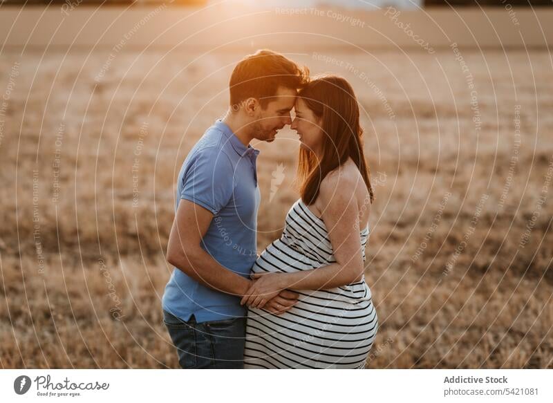 Paar wartet auf ein Baby im Feld schwanger Heufeld Sonnenuntergang Liebe berühren Bauch Zusammensein Angebot Landschaft Mann Frau Natur erwarten Partnerschaft