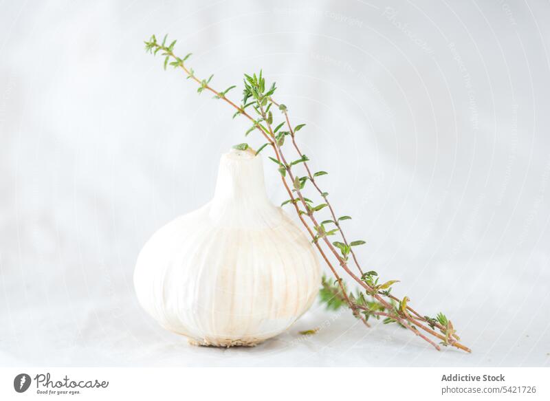 Knoblauch und Kräuter auf dem Tisch Gewürznelke Kopf Kraut Thymian frisch natürlich organisch Streuung Lebensmittel Ernährung roh grün Gesundheit kulinarisch