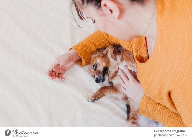 junge frau und ihr süßer hund liegen auf dem bett. tierliebe konzept. ansicht von oben Lügen Morgen Schlafzimmer Welpe wecken Mädchen Komfort Sauberkeit Kuss