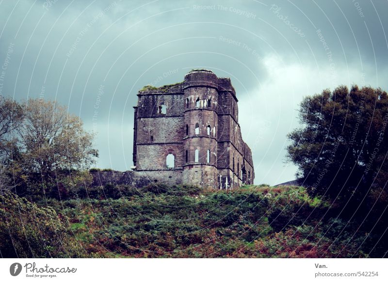 ruiniert Natur Pflanze Himmel Wolken Herbst Baum Sträucher Hügel Republik Irland Haus Ruine Fassade alt dunkel Farbfoto Gedeckte Farben Außenaufnahme