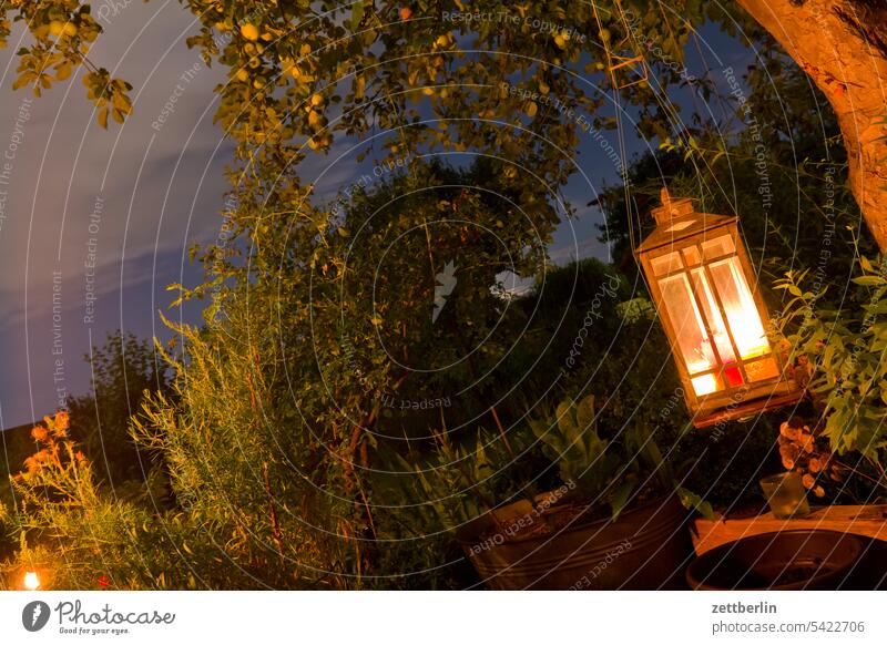 Lampe im Garten again ast baum blühen blüte dunkel erholung ferien garten hecke kleingarten kleingartenkolonie knospe menschenleer nachbarschaft natur pflanze