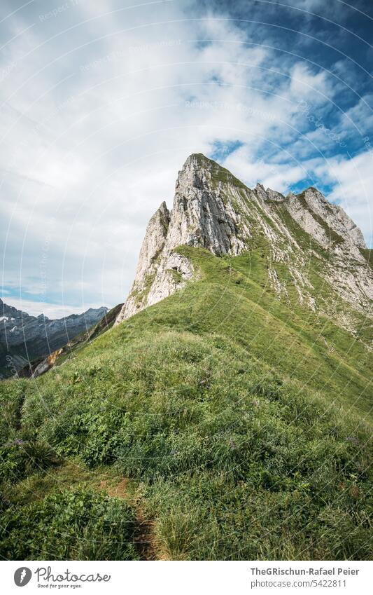 Berge im Alpstein (Schweiz) Aussicht Panorama (Aussicht) Berge u. Gebirge Himmel Wolken wanderland Appenzellerland Gras Steine Felsen laufen wandern