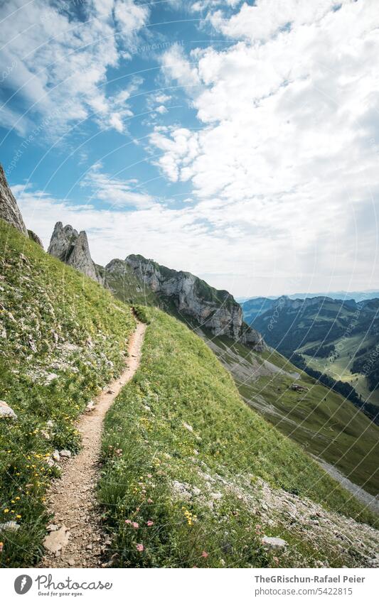 Berge mit Pfad an steilem Hang Aussicht Panorama (Aussicht) Berge u. Gebirge Himmel Wolken Alpstein wanderland Appenzellerland Gras Steine Felsen laufen wandern