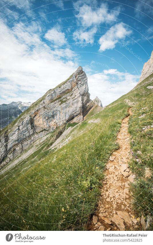 Berge mit Pfad an steilem Hang Aussicht Panorama (Aussicht) Berge u. Gebirge Himmel Wolken Alpstein wanderland Appenzellerland Gras Steine Felsen laufen wandern