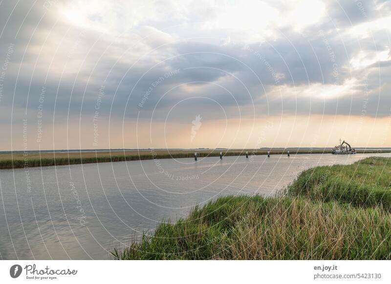 Fluss mit Baggerschiff im Hintergrund Schiff Horizont Gräser Wolken Himmel Sonnenstrahlen weite ruhen Schilfrohr Wasser Natur Landschaft Menschenleer ruhig