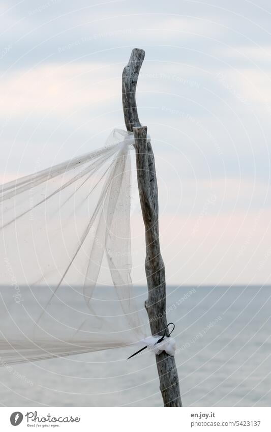 dünner Baumstamm oder Ast mit feinem Netz vor Ostsee, Horizont und Himmel mit Wolken Meer durchsichtig Schwache Tiefenschärfe blau Wasser Küste Menschenleer