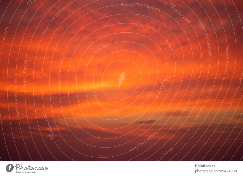 #A0# Orange Hintergrund neutral Sonnenlicht Licht Farbfoto Außenaufnahme Sonnenuntergang kräftige Farben Farbenspiel intensiv orange angestrahlt Wolkenformation