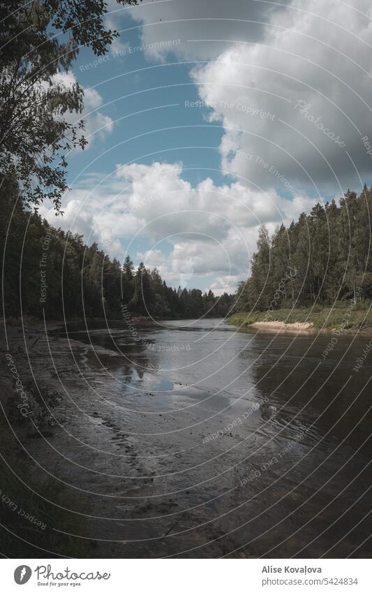 Flussufer in Lettland, Fluss Gauja Landschaft Natur Wasser Bäume Wald um Blauer Himmel Windstille Farbfoto tagsüber Schlamm