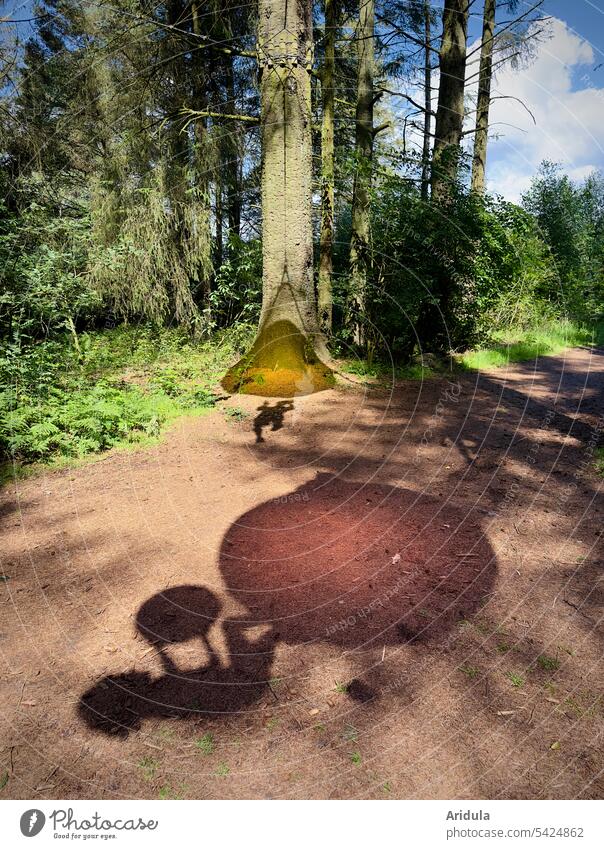 Schattenspiel mit Bällen im Wald Freizeit Spaß spielen Ball Sommer Sonne ungewöhnlich Bewegung Kind Spielen Freude rund Außenaufnahme Lichtspiel