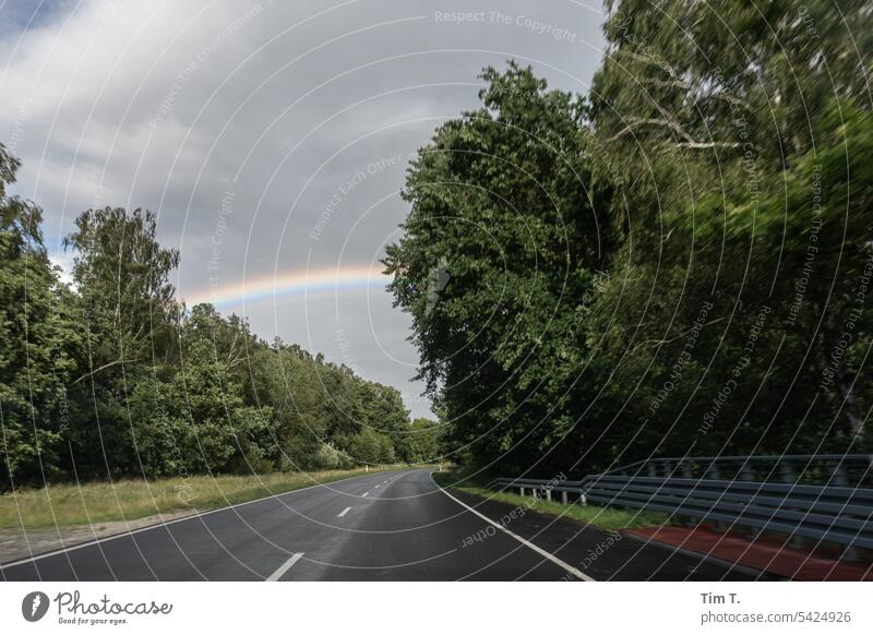 Straße mit Regenbogen Brandenburg Sommer Allee Außenaufnahme Baum Menschenleer Tag Landschaft Landstraße Natur Zentralperspektive Farbfoto Wege & Pfade