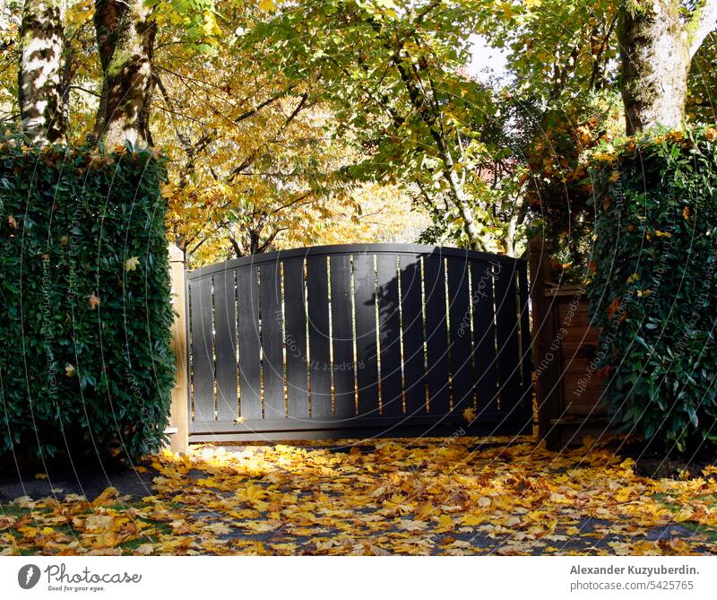 Tore und Herbstbäume in Vancouver, British Columbia, Kanada Gate fallen Natur Bäume Blätter Wetter schön