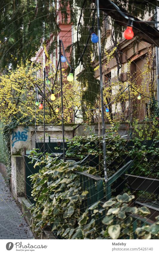 Begrünte Veranda mit altem Zaun und bunten Lampen eines restaurierten Altbau im Sommer im gentrifizierten Nordend von Frankfurt am Main in Hessen Zuhause Heimat