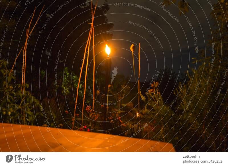 Fackel in der Nacht zweig wiese tiefenschärfe textfreiraum strauch sommernacht schrebergarten saison ruhe pflanze natur nachbarschaft menschenleer leuchter