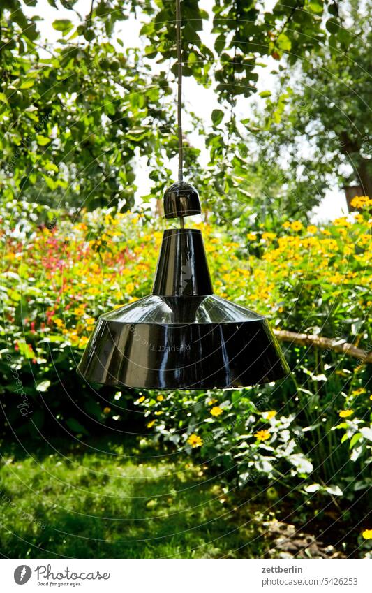 Lampe im Garten ast baum blühen blüte dunkel erholung ferien garten hecke kleingarten kleingartenkolonie knospe menschenleer nachbarschaft natur pflanze ruhe