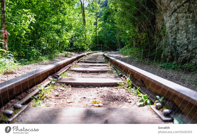 eisenbahn im dschungelwald in thailand ohne menschen Hintergrund Klima Ökologie Umwelt Wald frisch grün bügeln Reise Dschungel Landschaft Linie Metall Natur