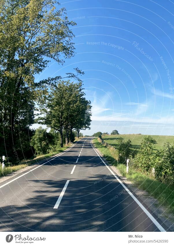 Landstraße Umwelt Fahrbahnmarkierung Verkehr Mittelstreifen Baum grün zweispurig Straßenverkehr Asphalt Verkehrswege Straßenrand Wege & Pfade leere Straße