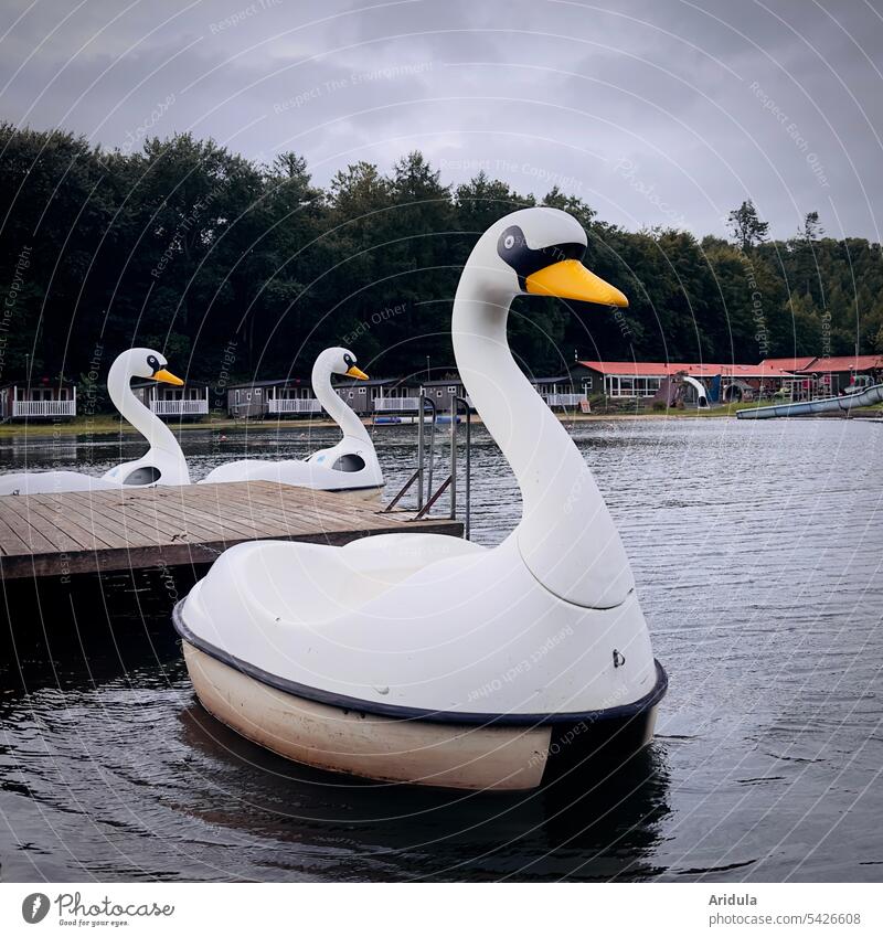 Schwanenfamilie | Tretboote auf dem Badesee am Campingplatz See Wasser Wasserfahrzeug Schwimmen & Baden Schwimmbad Sommer Ferien & Urlaub & Reisen Menschenleer