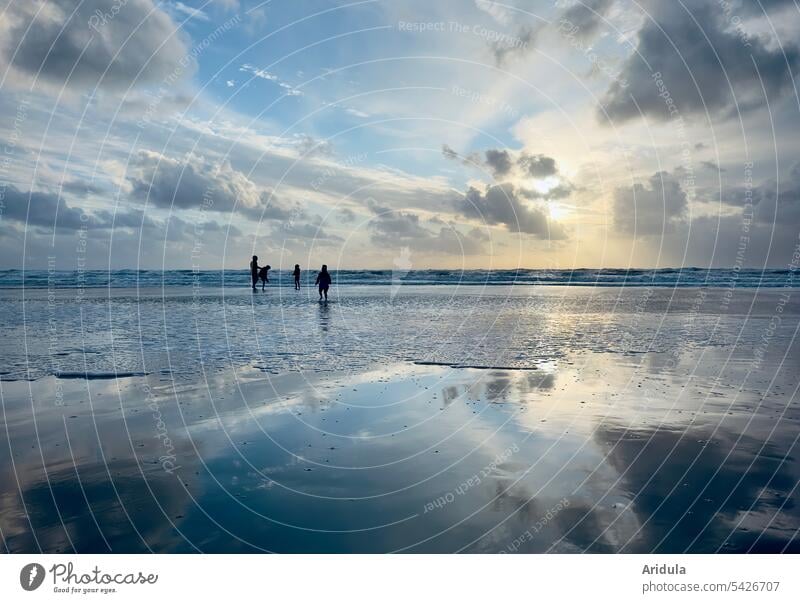 Vier Personen bei Sonnenuntergang an der Nordsee Meer Strand Wasser Himmel Küste Landschaft Ferien & Urlaub & Reisen Watt Reflexion & Spiegelung Sommer Erholung