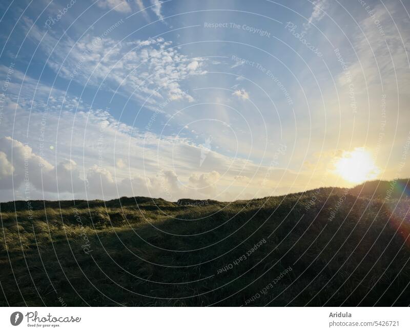 Nordseedünen mit Sonnenuntergang Düne Dünengras Natur Küste Landschaft Ferien & Urlaub & Reisen Nordseeküste Wolken Erholung Dänemark Tourismus romantisch