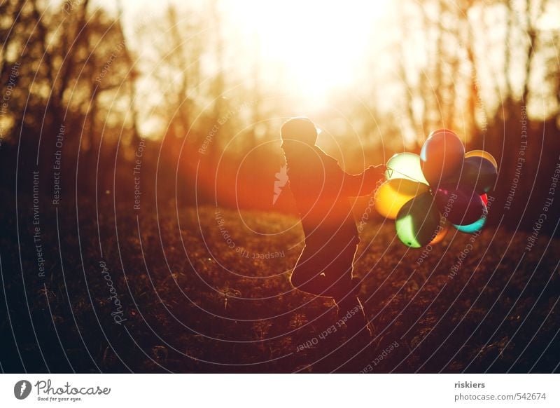 meine luftballons und ich v Mensch maskulin Kind Junge Kindheit Leben 1 3-8 Jahre 8-13 Jahre Herbst Schönes Wetter Wiese Wald rennen frei Freundlichkeit