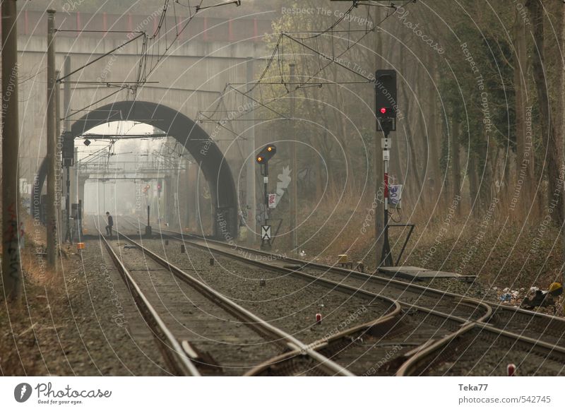 Nebelbahngänger Mensch maskulin 18-30 Jahre Jugendliche Erwachsene Verkehr Verkehrsmittel Verkehrswege Schienenverkehr Eisenbahn Personenzug Güterzug Gleise