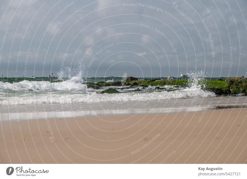 Steinbuhne an der Nordseeküste Meer Küste Strand Himmel Ferien & Urlaub & Reisen Landschaft Tourismus Erholung Außenaufnahme Natur Sand Wolken Buhne Möwen