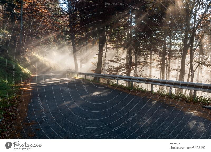 Neblige Landstraße Straße Nebel Schönes Wetter Herbst Wald Sonnenstrahlen Morgen Verkehr Natur Leitplanke ländlich