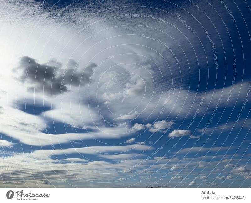 Wolkenhimmel Himmel blauer Himmel weiße Wolken Schönes Wetter Sommer Nordsee