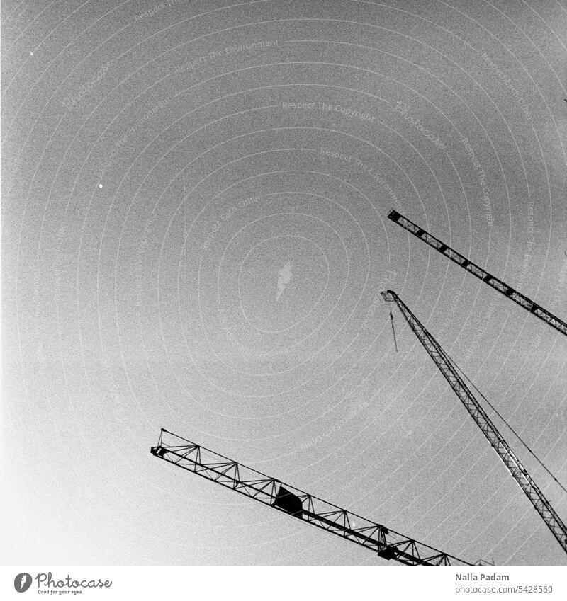 Drei Kranausleger analog Analogfoto sw Außenaufnahme schwarzweiß Himmel Ausleger Metall Linie Baustelle Bauen Arbeit