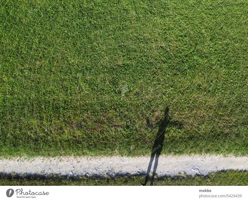 Neben  der Spur und doch drauf Weg Feldweg Wege & Pfade Umwelt Natur grün Wiese Landschaft Gras Sommer Landwirtschaft Straße Schotterweg schmal gerade gemäht