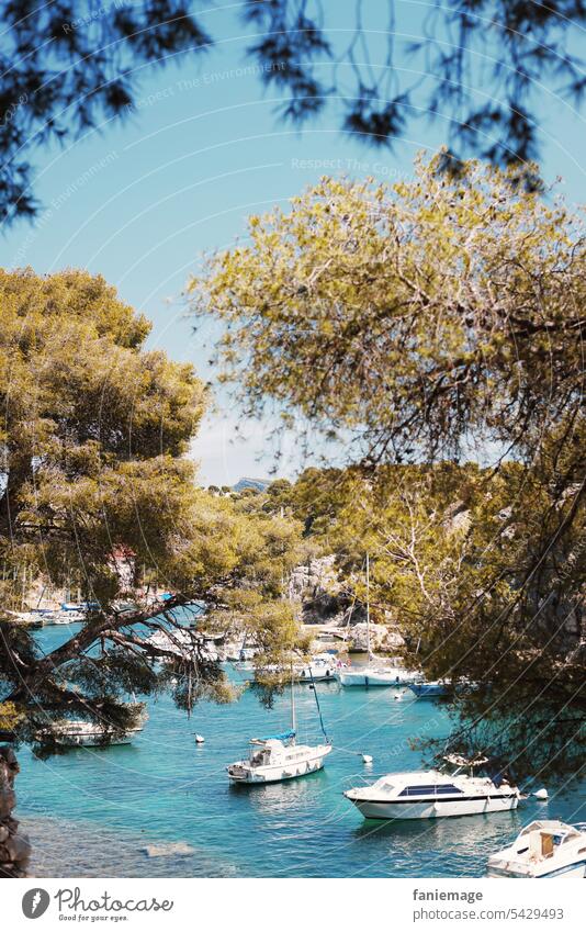 Boote in der Calanque von Port Miou in Cassis mit Pinien im Vordergrund Calanques Hafen Miou Calanque de Port Miou südfrankreich Provence Cote d'Azur Stiefel