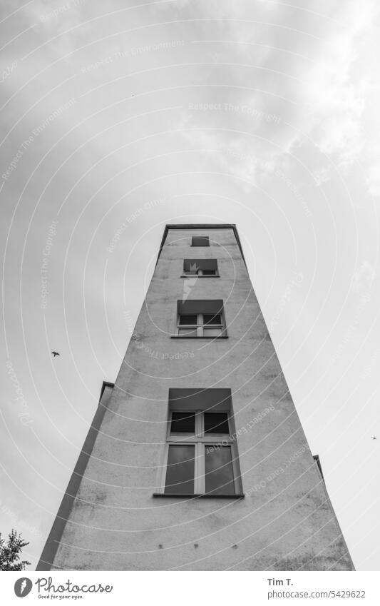 Ecke Schönhauser mit Taube Haus Prenzlauer Berg Berlin Schönhauser Allee bnw Stadtzentrum Hauptstadt Altstadt Außenaufnahme Menschenleer Architektur Bauwerk